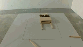 0 (10).gif