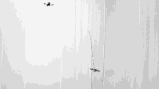 0.gif