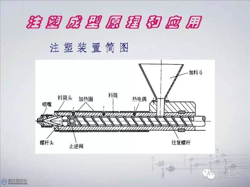 f4.jpg