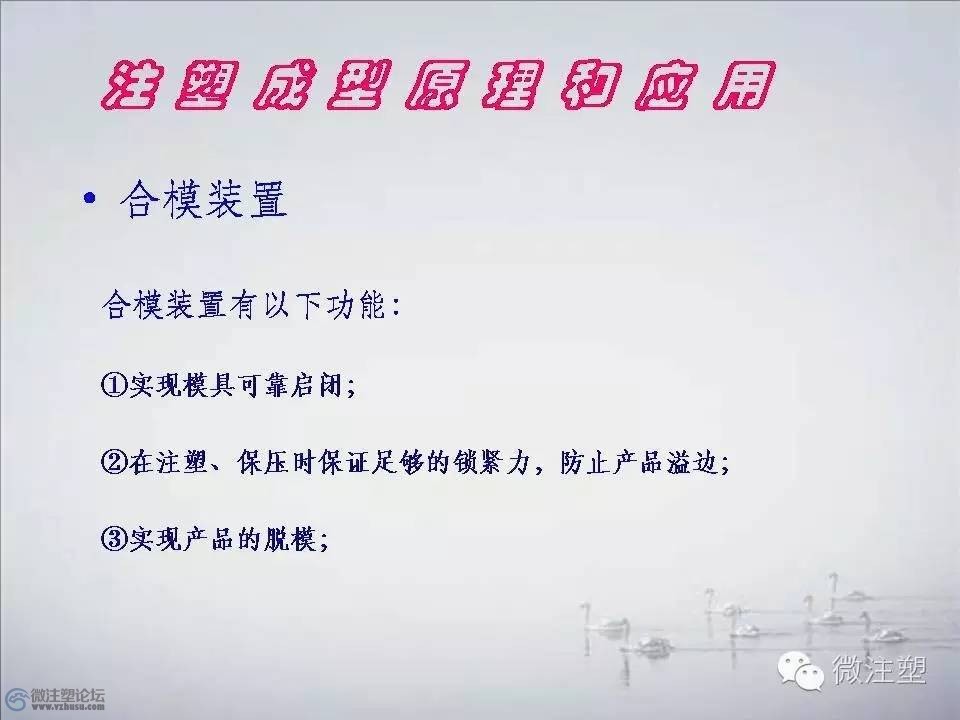f6.jpg