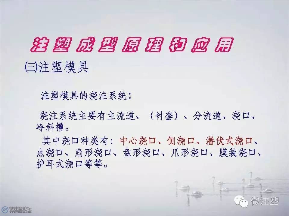 f26.jpg