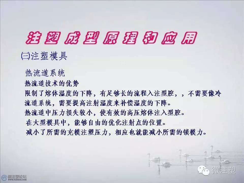 f31.jpg