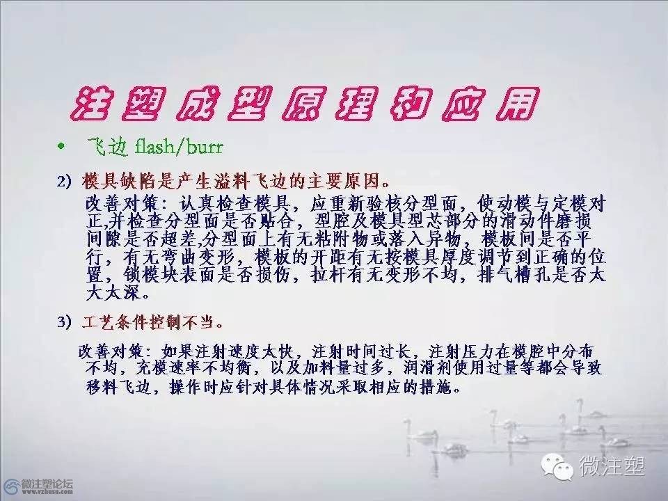 f41.jpg