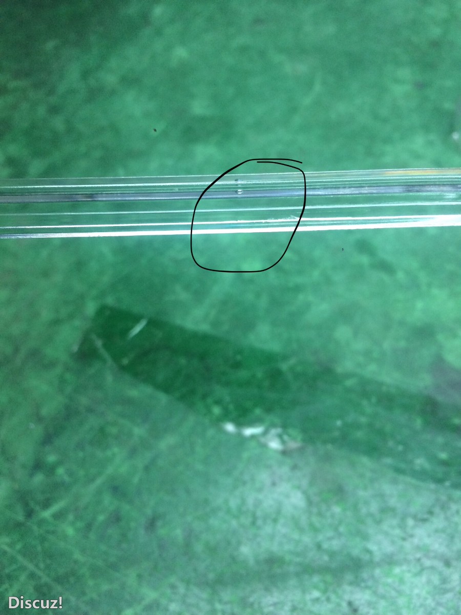 BF1873B3-5CF5-4D74-AE0B-F500747A9191.jpeg